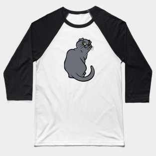 Little Gray Scottish Fold Baseball T-Shirt